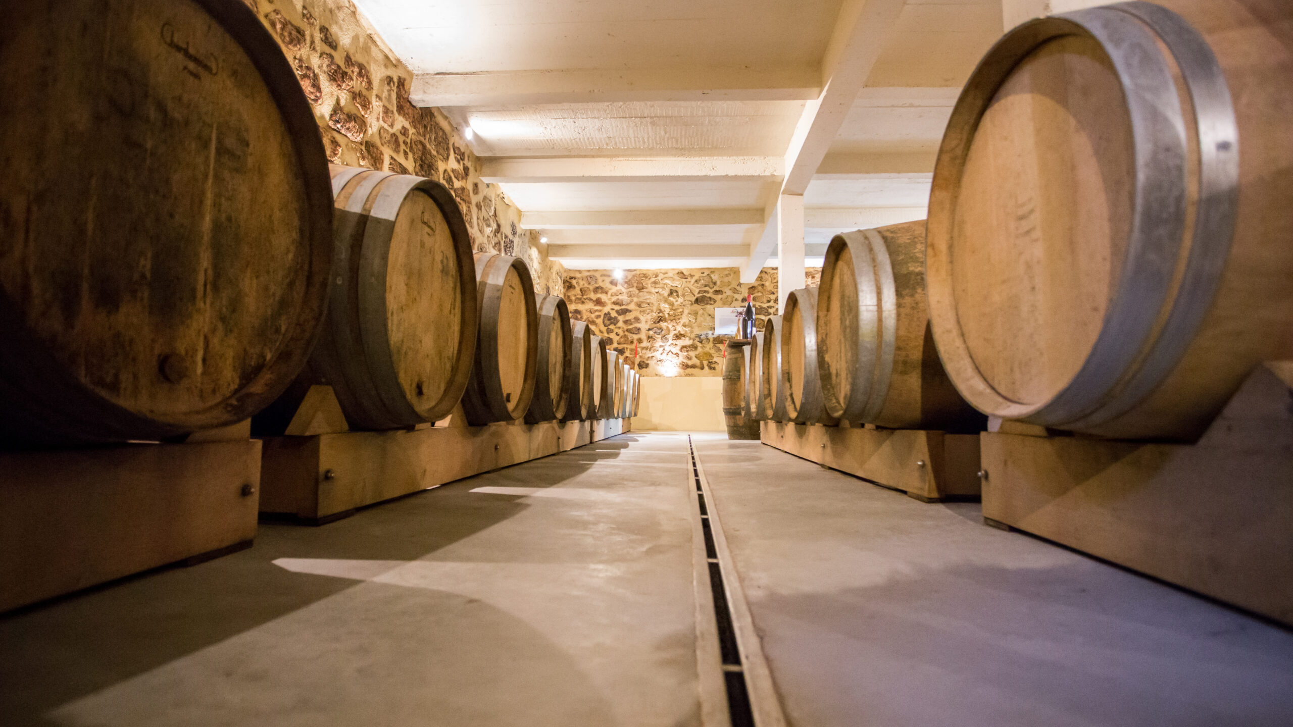 Domaine de Bois Mozé - chai-12