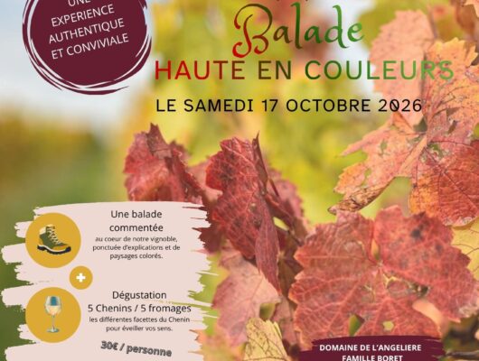 Vignobles en Scène – Balade haute en couleurs au Domaine de l&rsquo;Angelière - affiche-vignobles-en-scene