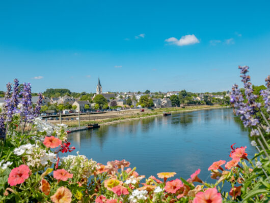 Route des vins – Loire sauvage et corniche angevine - loire-a-velo-avv-mavieenloireatlantique--4-