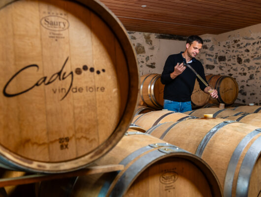 Route des vins – Coteaux et panoramas du Layon - web-domaine-cady---caveau---sebastien-gaudard--4-